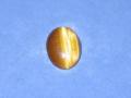 Tiger's Eye Small Oval