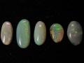 Semi Black Thin Oval (multicolor) / Larger Thin Oval (green) / Thin Oval (little green) / Round Multi / Greyish Multi